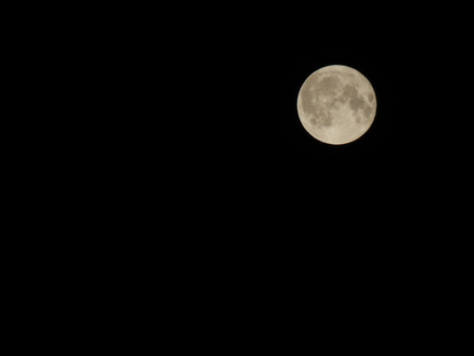 20120407 043614